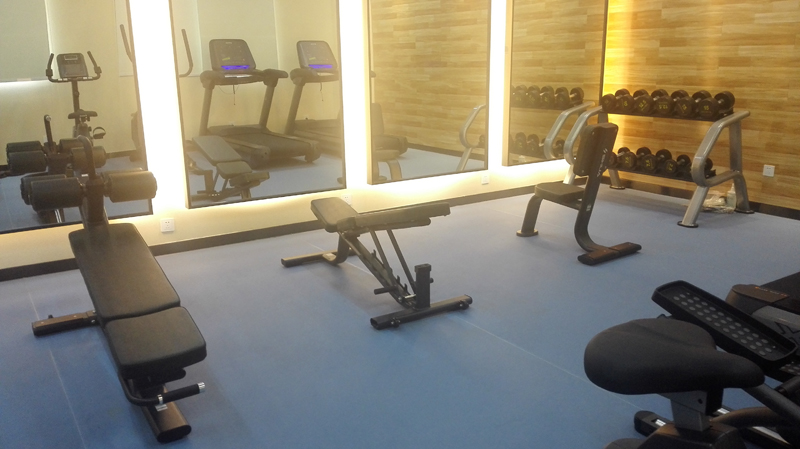 室内健身器材,单位健身器材,健身器材十大品牌-广西Z6.COM-尊龙集团体育健身器材有限公司