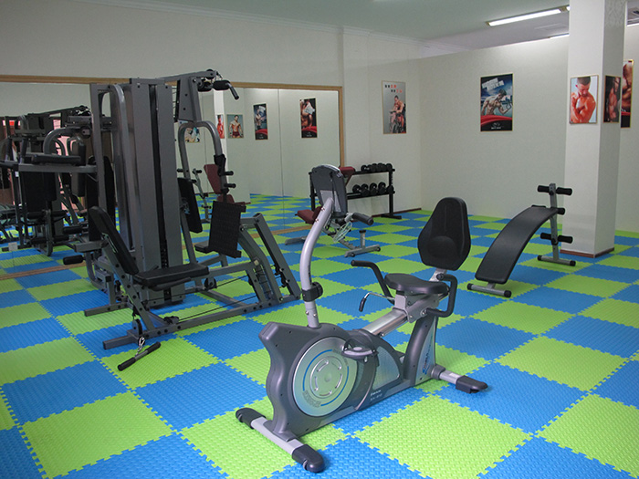 室内健身器材,单位健身器材,健身器材十大品牌-广西Z6.COM-尊龙集团体育健身器材有限公司