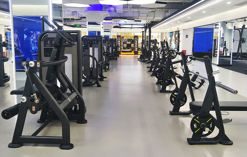 Z6.COM-尊龙集团力量器械