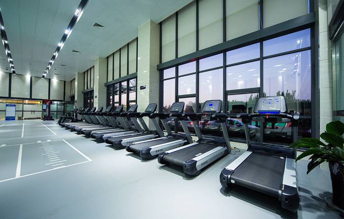 室内健身器材-Z6.COM-尊龙集团V9跑步机