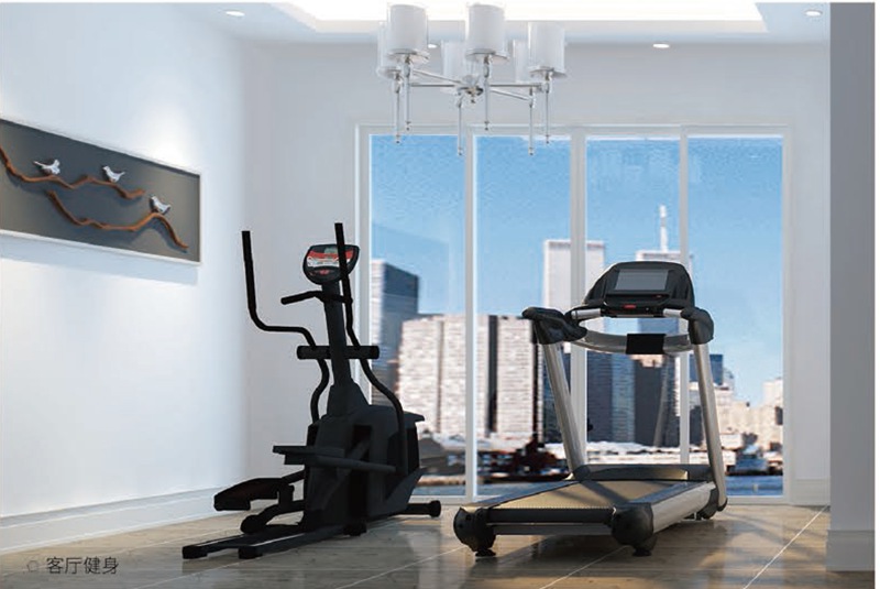 家庭健身房器材-Z6.COM-尊龙集团健身器材