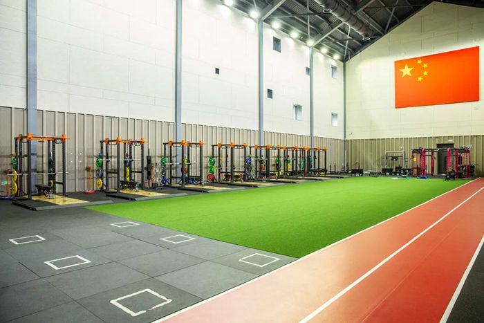 体能训练解决方案-广西Z6.COM-尊龙集团体育