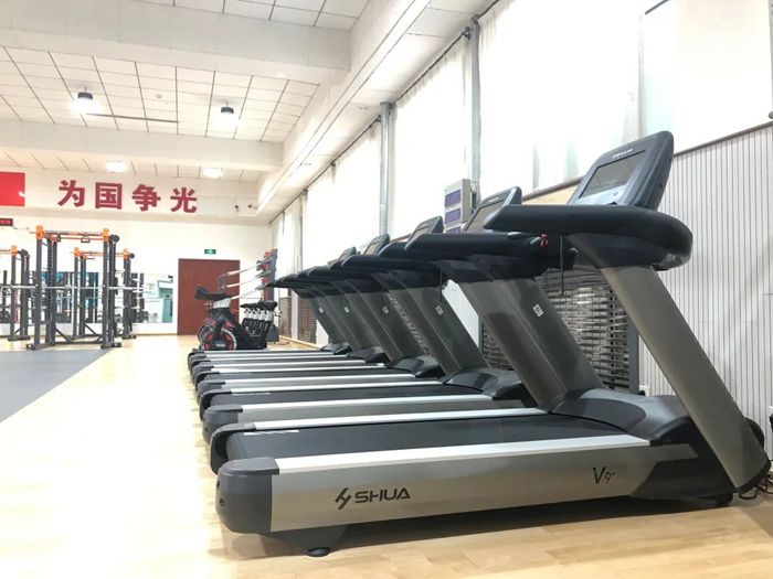 体能训练解决方案-广西Z6.COM-尊龙集团体育