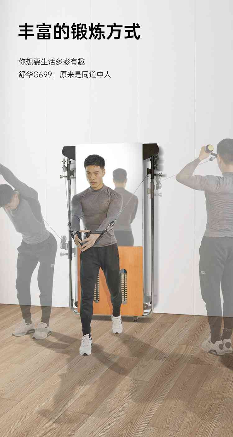 SH-G699 壁挂式拉绳训练器-广西Z6.COM-尊龙集团体育健身器材有限公司
