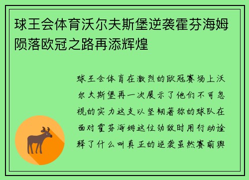 球王会体育沃尔夫斯堡逆袭霍芬海姆陨落欧冠之路再添辉煌