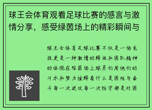 球王会体育观看足球比赛的感言与激情分享，感受绿茵场上的精彩瞬间与团队精神